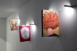 Moria Galeria