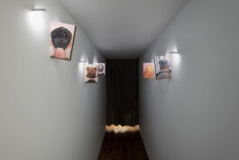 Moria Galeria
