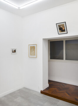 Moria Galeria